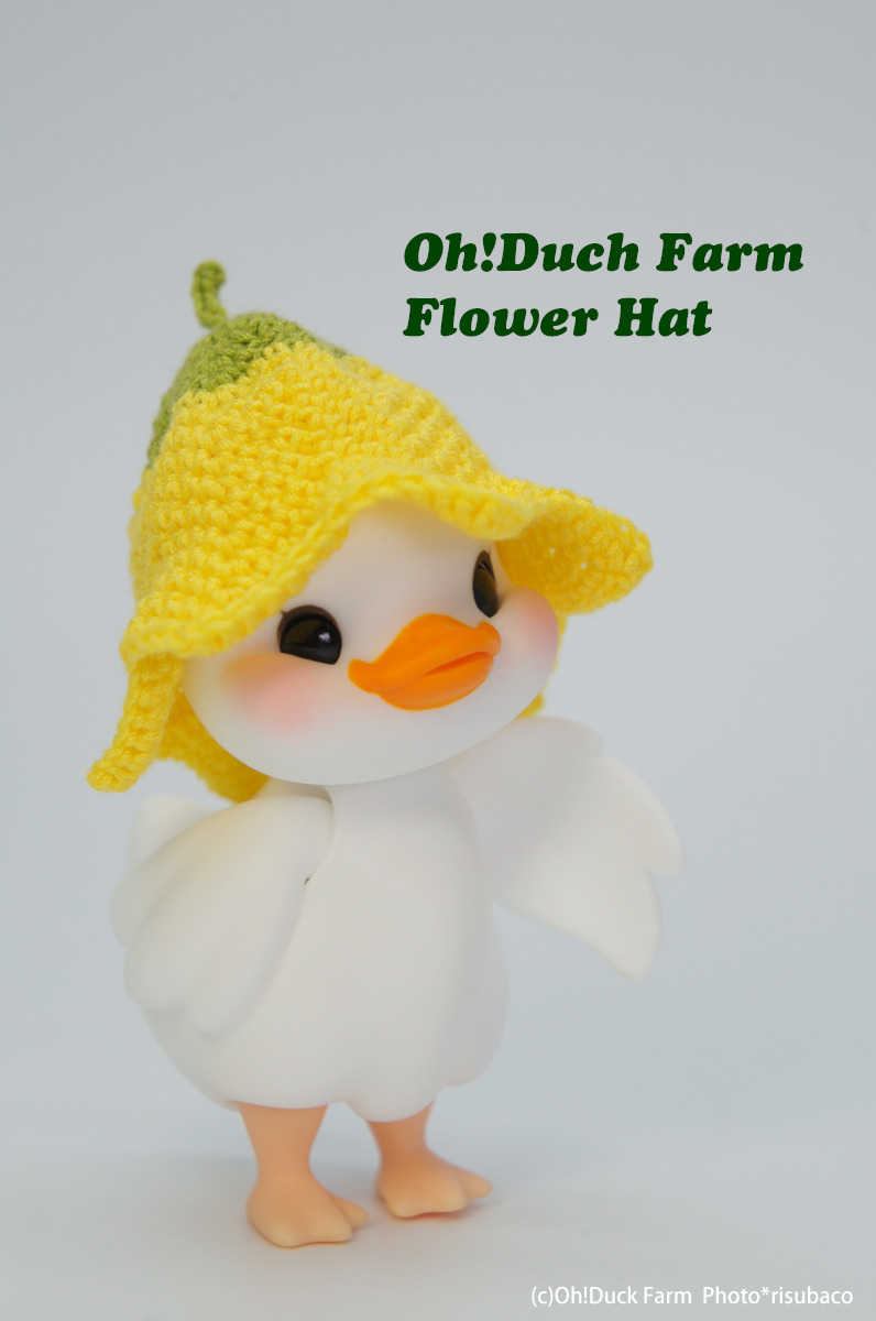 Oh!Duck Farm “Mi(ni)!Duck” “Happy!Duck” 販売のご案内 | risubaco