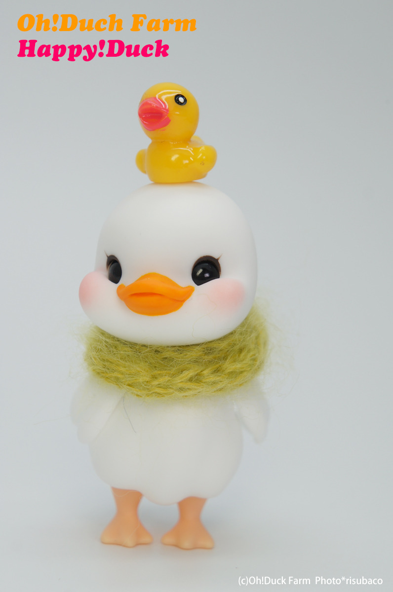 Oh!Duck Farm “Mi(ni)!Duck” “Happy!Duck” 販売のご案内 | risubaco
