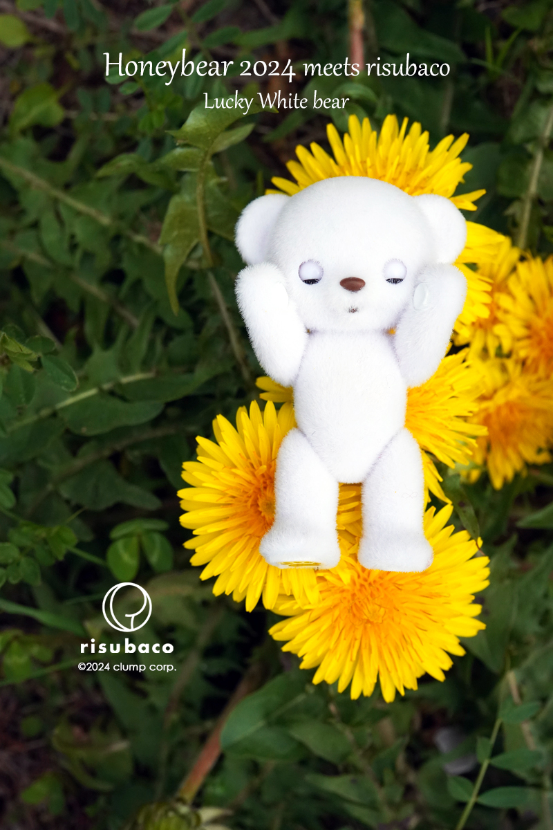Honeybear 2024春 受注のご案内 | risubaco